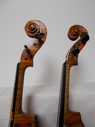 maggini violin in Flocello store Hamilton